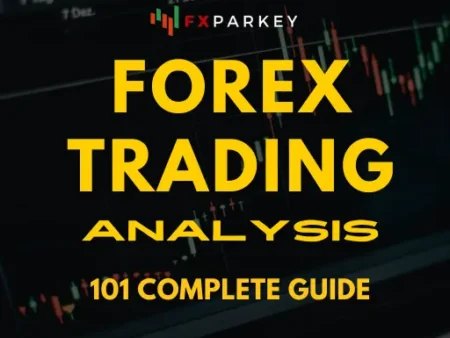 Forex Trading Analysis 101: Trade Smarter, Not Harder